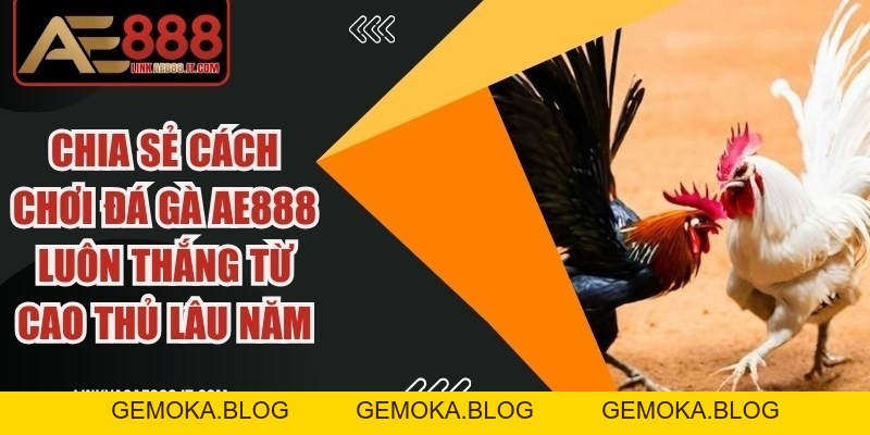 Chia Sẻ Cách Chơi đá Gà AE888 Luôn Thắng Từ Cao Thủ Lâu Năm - gemoka