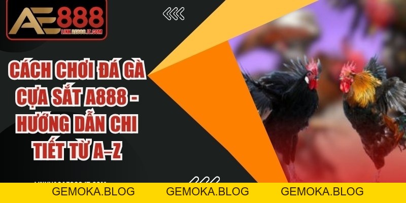 Đá Gà Cựa Dao AE888 - Trải Nghiệm Kịch Tính Tốc Độ Cao - gemoka