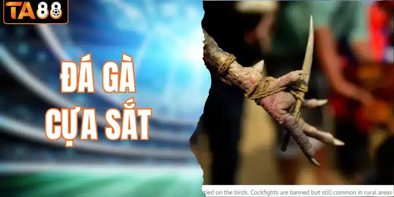 Đá Gà TA88 | Trận Đấu Kịch Tính & Cơ Hội Thắng Lớn - gemoka