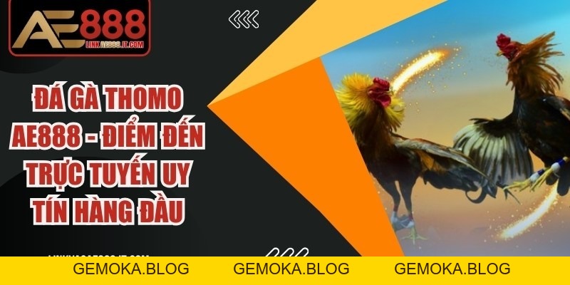 Thuật Ngữ Đá Gà AE888 - Tổng Hợp Khái Niệm Cần Biết - gemoka