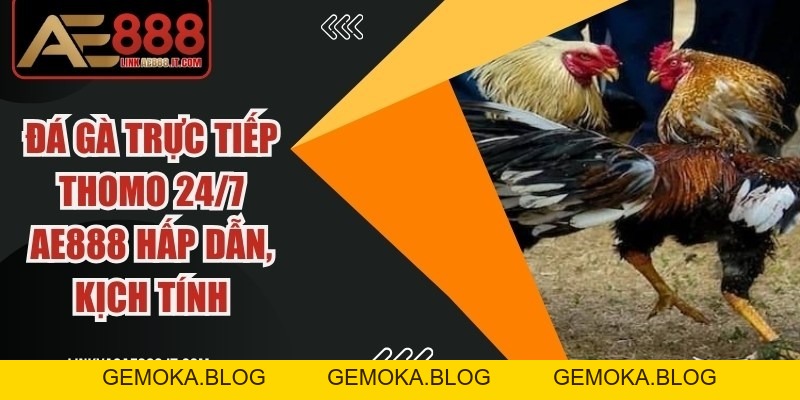 Đá Gà Thomo Ae888 - Điểm Đến Trực Tuyến Uy Tín Hàng Đầu - gemoka