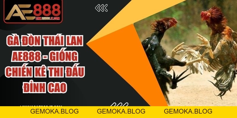 Chia Sẻ Cách Chơi đá Gà AE888 Luôn Thắng Từ Cao Thủ Lâu Năm - gemoka