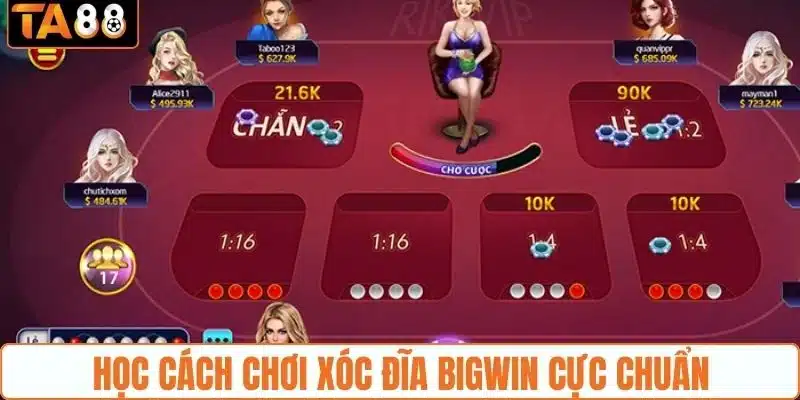 Cách Chơi Xóc Đĩa Bigwin - Mẹo Cược Game Casino Hiệu Quả  - gemoka