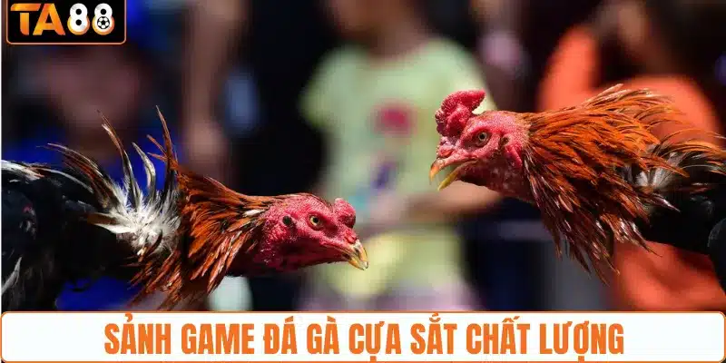 Đá gà cựa sắt - Nắm Chắc Kiến Thức Cá Cược Đá Gà Tại TA88 - gemoka