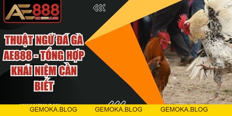 Đá Gà Thomo Ae888 - Điểm Đến Trực Tuyến Uy Tín Hàng Đầu - gemoka
