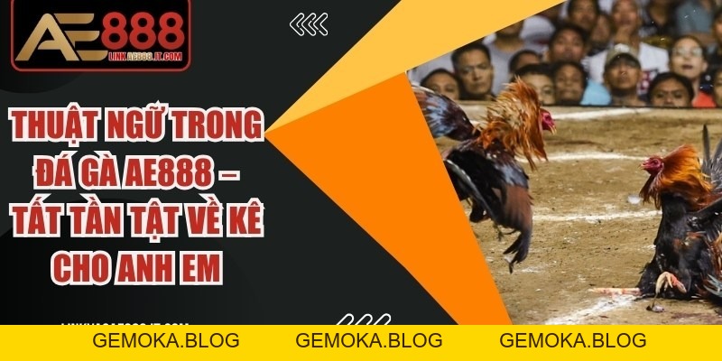 Cách Đúc Gà Đá AE888 Nhiều Trống Mang Lại Hiệu Quả Cao - gemoka