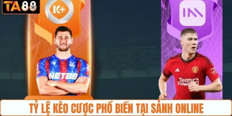 Sảnh Thể Thao IM - Điểm Cá Cược Kèo Sport Lợi Nhuận Khủng - gemoka